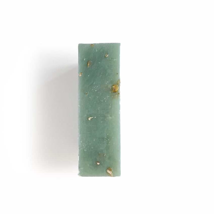 Aqua Fresh Exfoliant Bath Soap